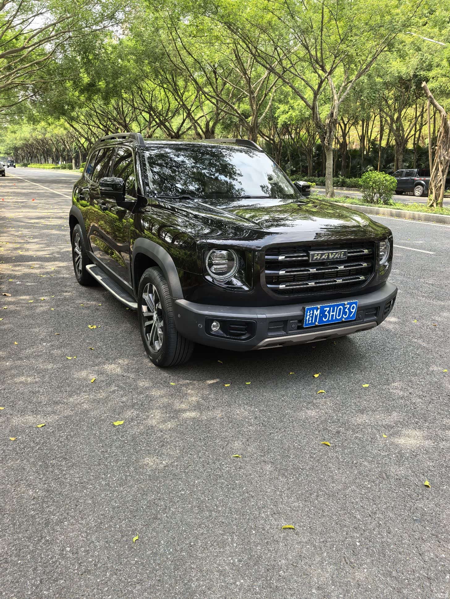 Haval Big Dog, 2021 8