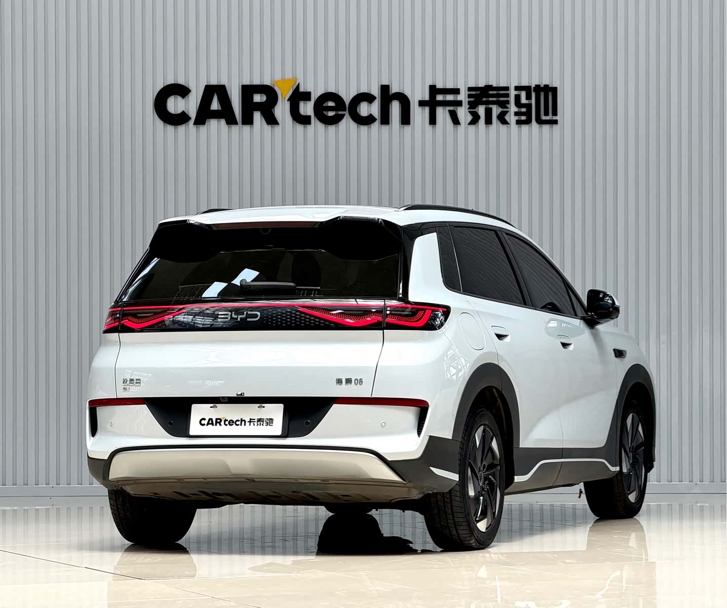 BYD HiAce, 2025 30