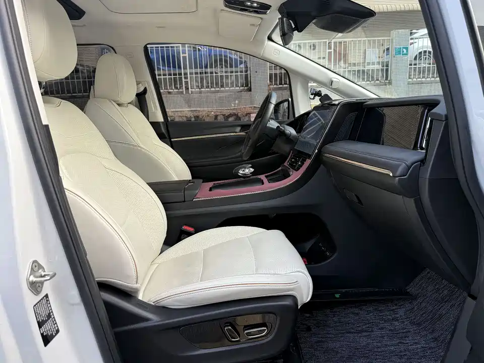 Trumpchi Trumpchi E9