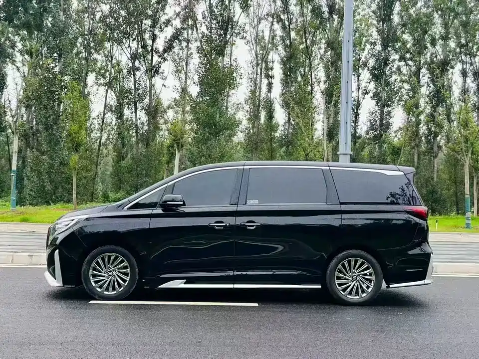 Trumpchi Trumpchi M8