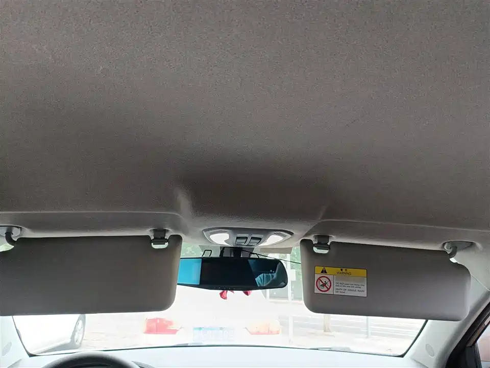 Leopaard Cheetah CS9