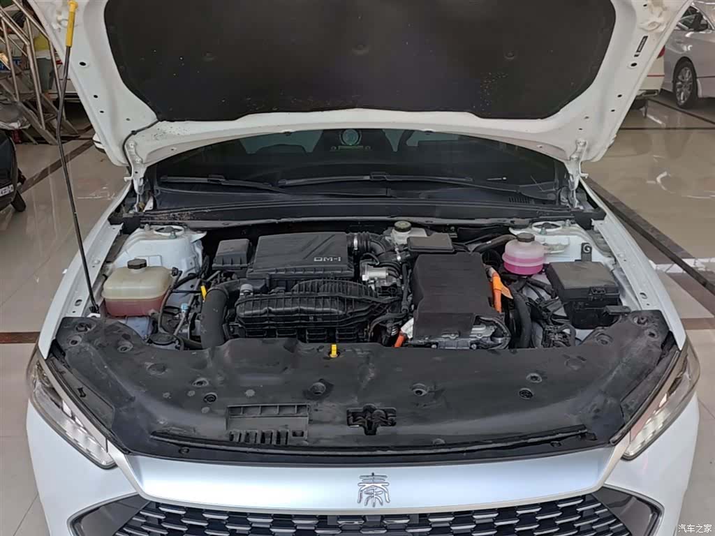 BYD Qin, 2024 20