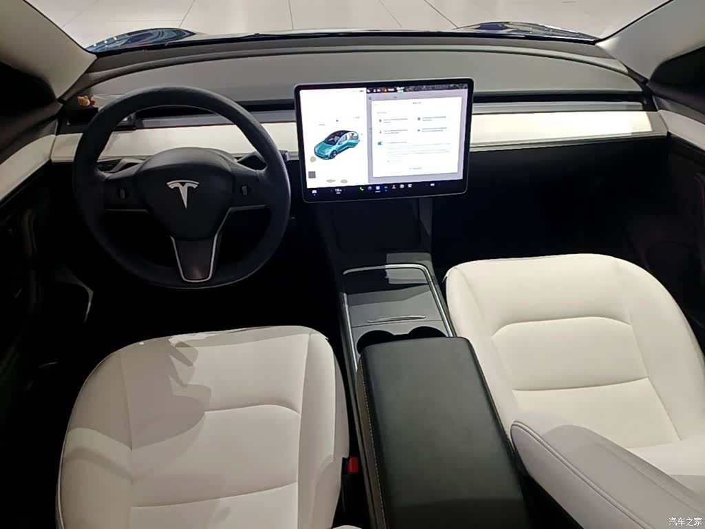 Tesla Model 3, 2021 10