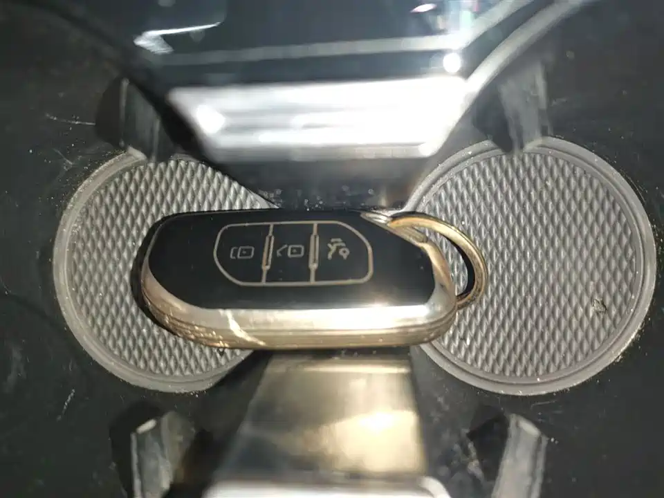 Forthing Popular T5 EVO