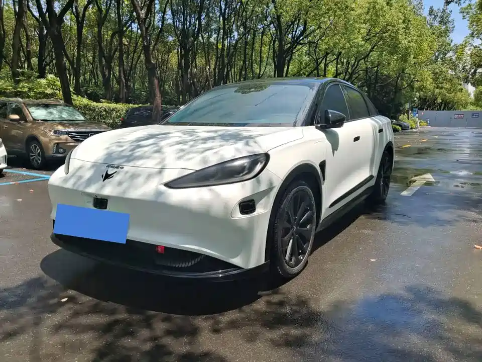 ARCFOX Polar Fox Alpha S