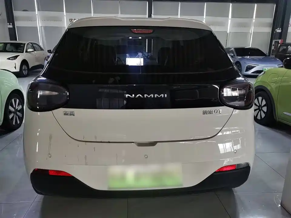 Dongfeng Nammi Nano 01
