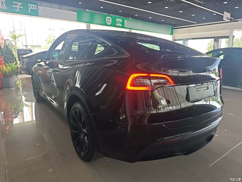 Tesla Model Y, 2021 все фото