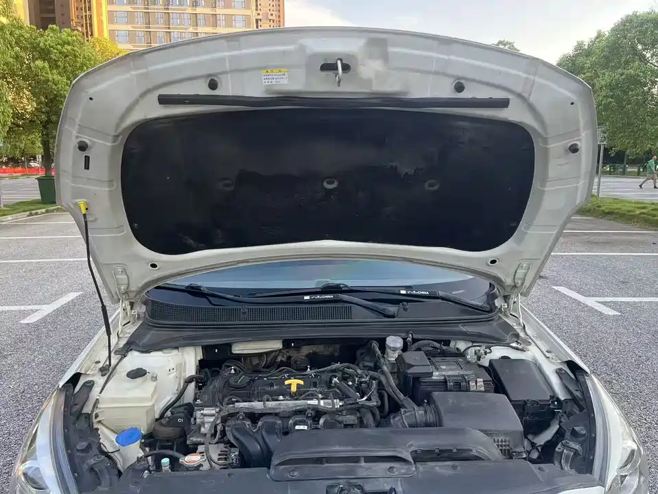 Hyundai Name picture