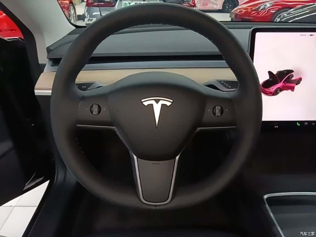 Tesla Model 3, 2021 11