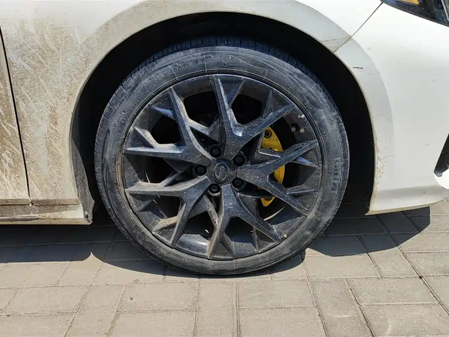 Trumpchi Shadow Leopard
