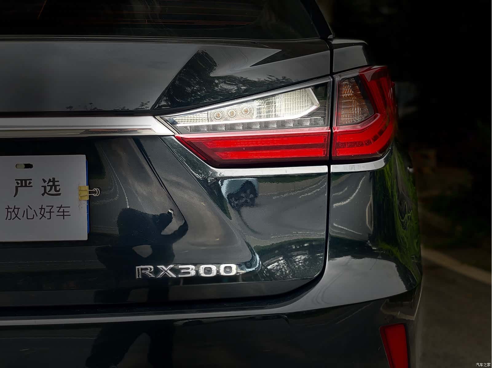 Lexus RX, 2019 13