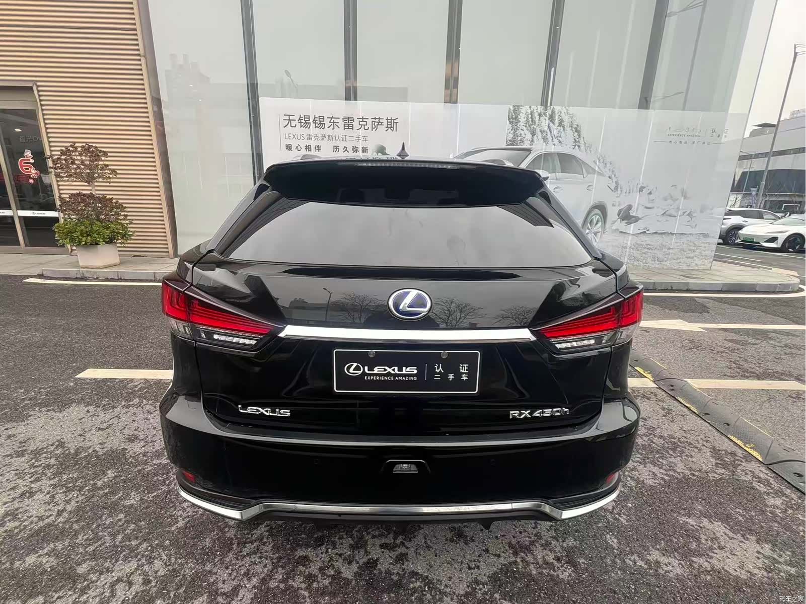 Lexus RX, 2021 8