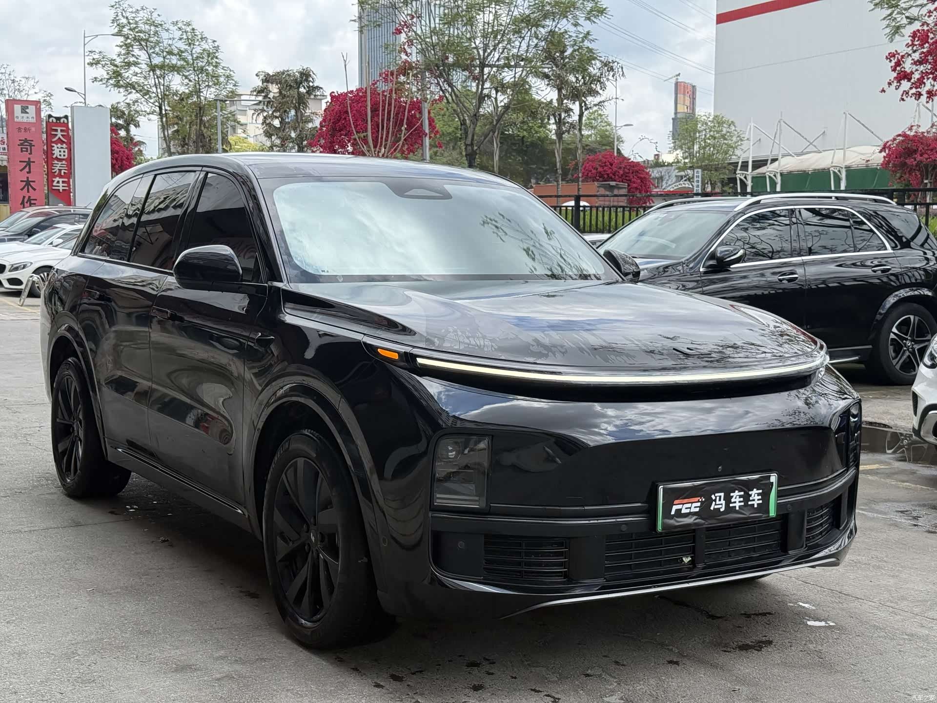 Li Auto L8, 2023 13