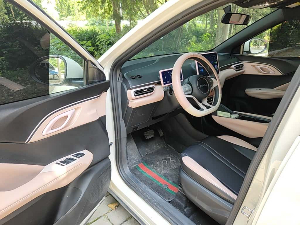BYD Seagull, 2024 12