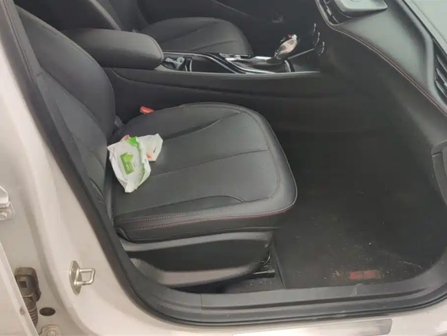 Buick Weilang