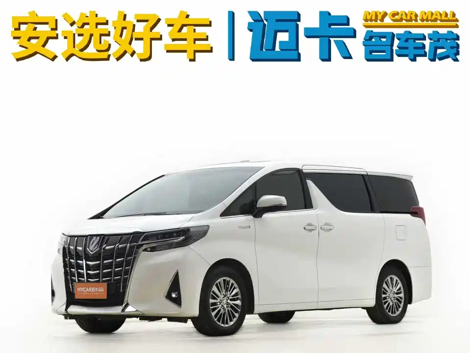 Toyota Elfa
