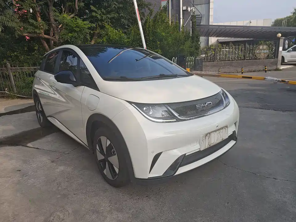 BYD dolphin