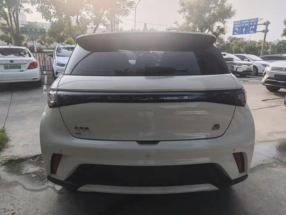 BYD dolphin