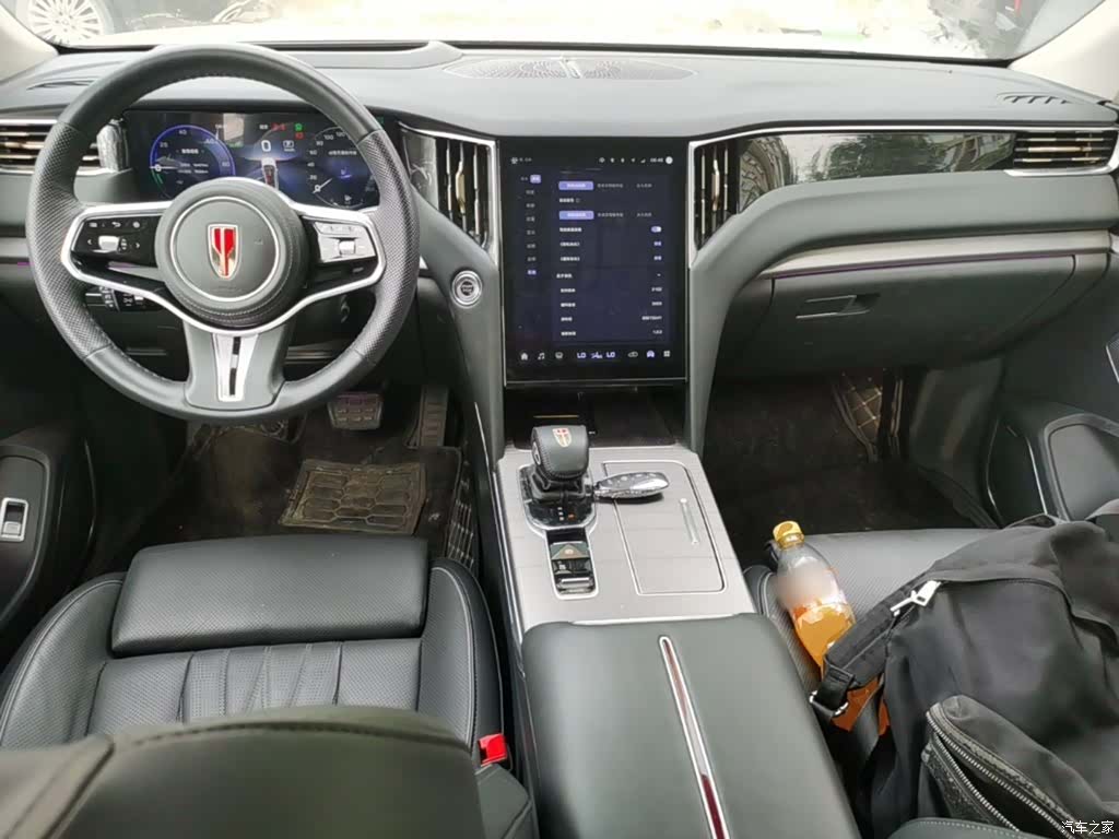 Hongqi HS7, 2024 10