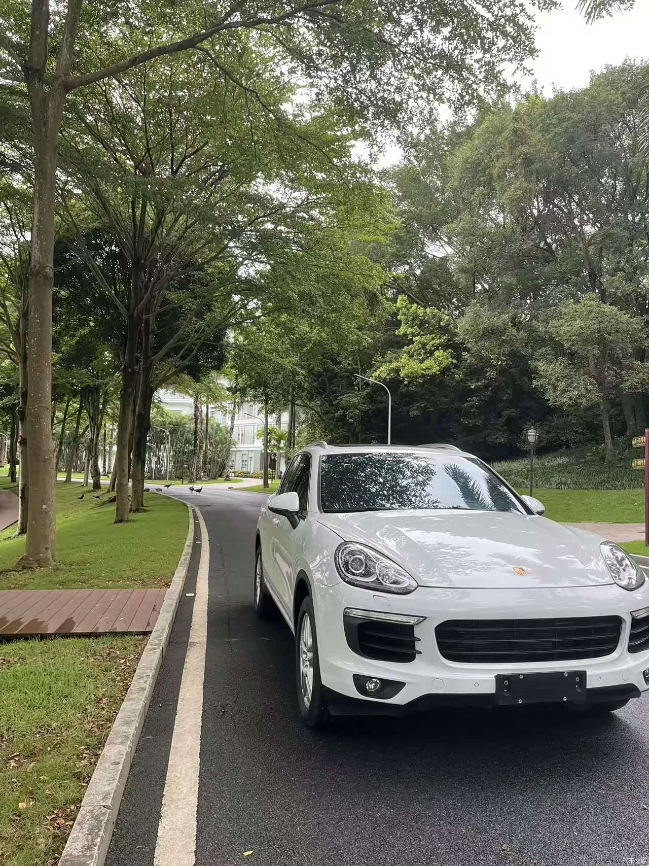 Porsche Cayenne, 2016 3