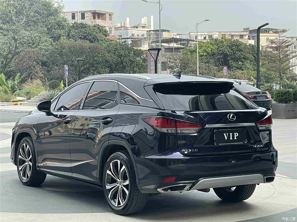 Lexus RX, 2021 6