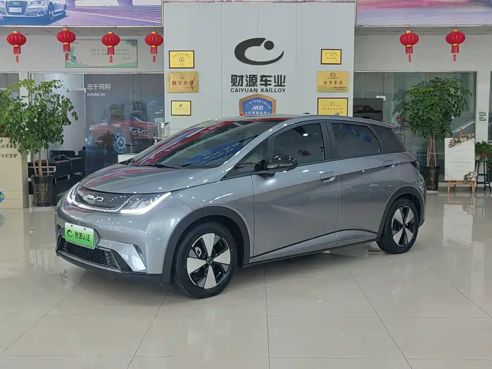 BYD dolphin
