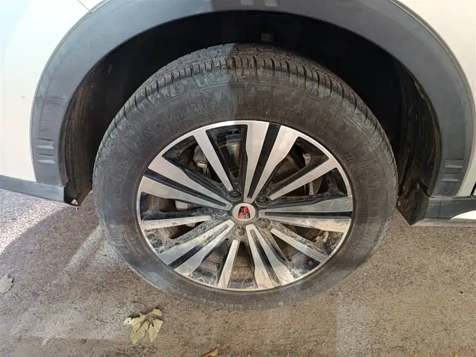 Roewe RX5 New energy