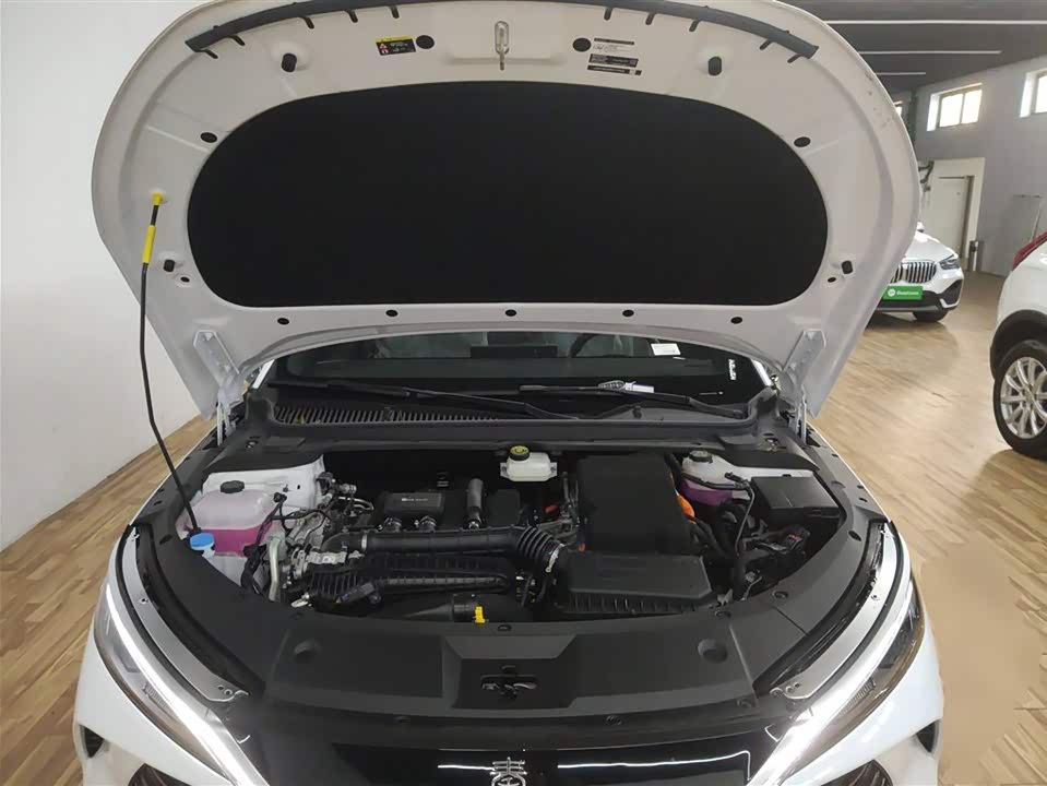 BYD Qin L