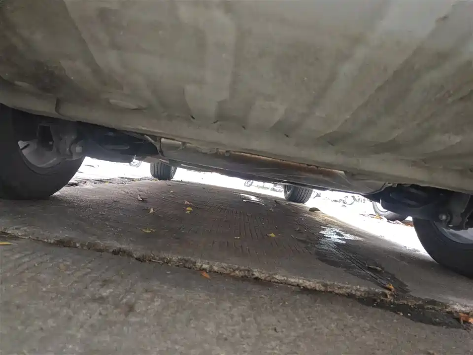 Wuling Wuling Capgemini