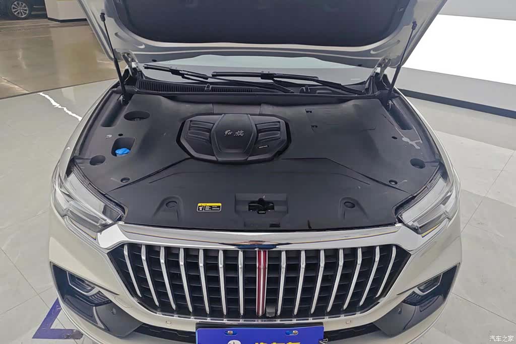 Hongqi HS5, 2021 10