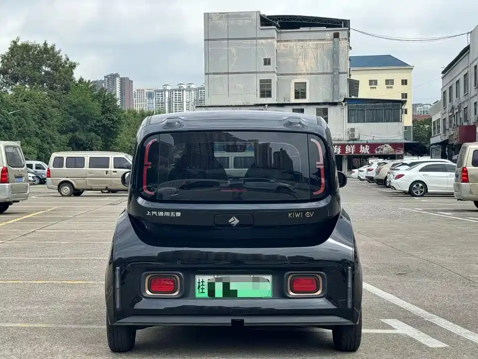Baoding KiWi EV