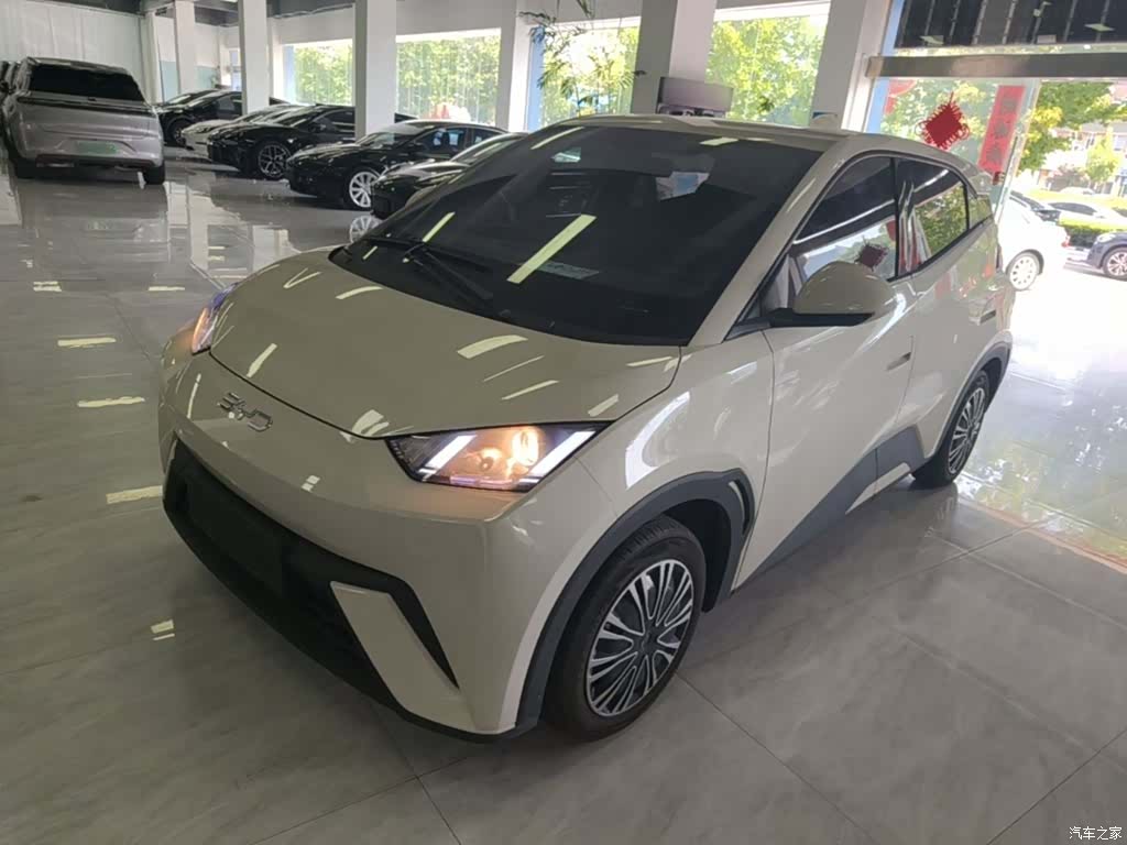 BYD Seagull, 2024 2