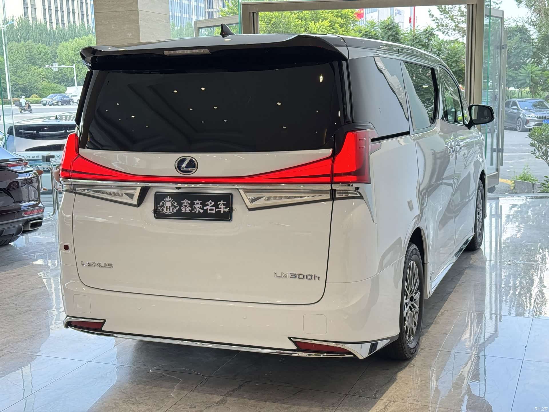 Lexus LM, 2022 24