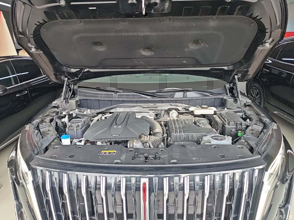 Hongqi HS7, 2024 20