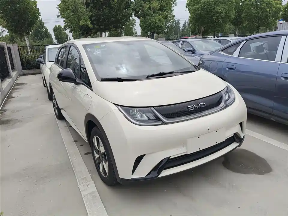 BYD dolphin