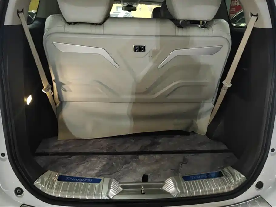 Trumpchi Trumpchi M8