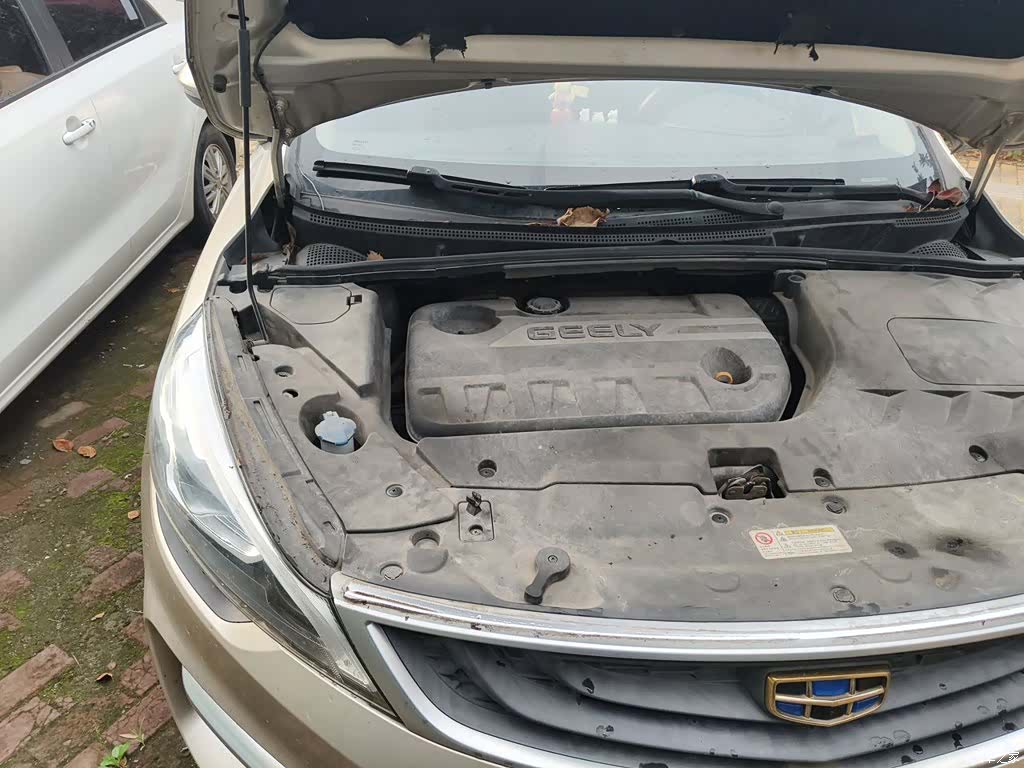 Geely Emgrand, 2018 22