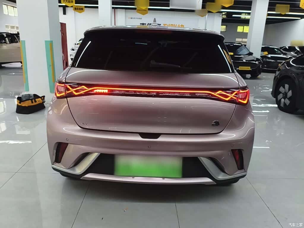 BYD Dolphin, 2024 4
