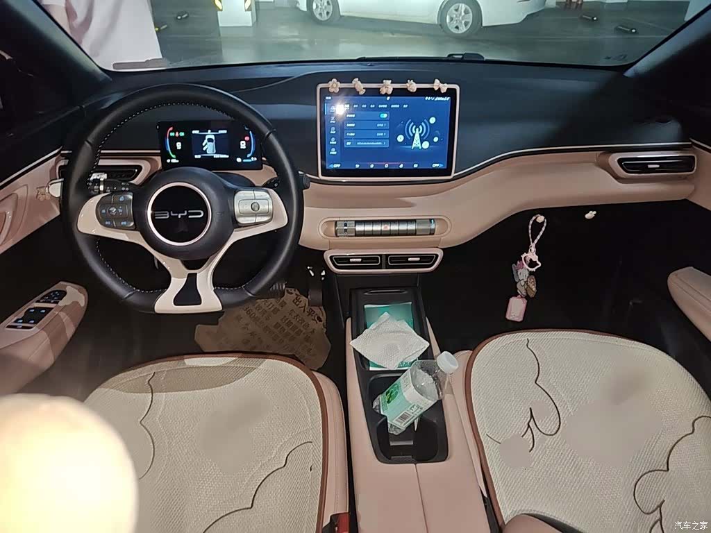 BYD Seagull, 2024 6