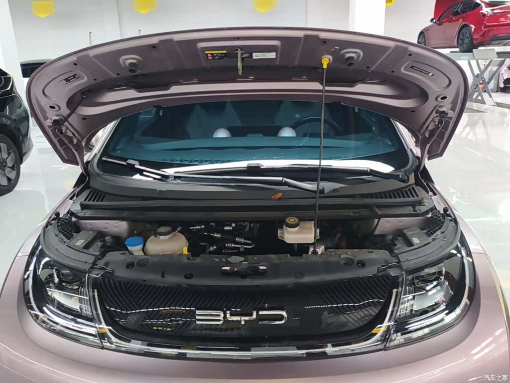 BYD Dolphin, 2024 16