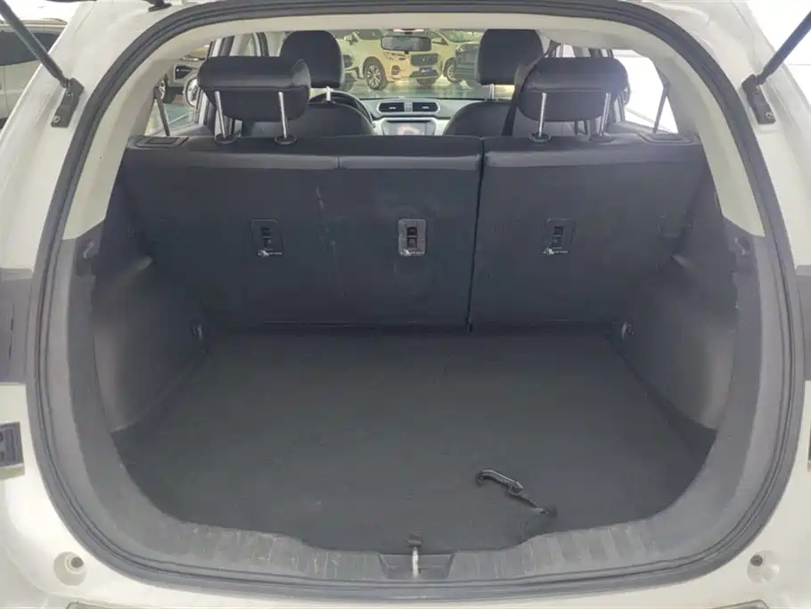 Haval H2