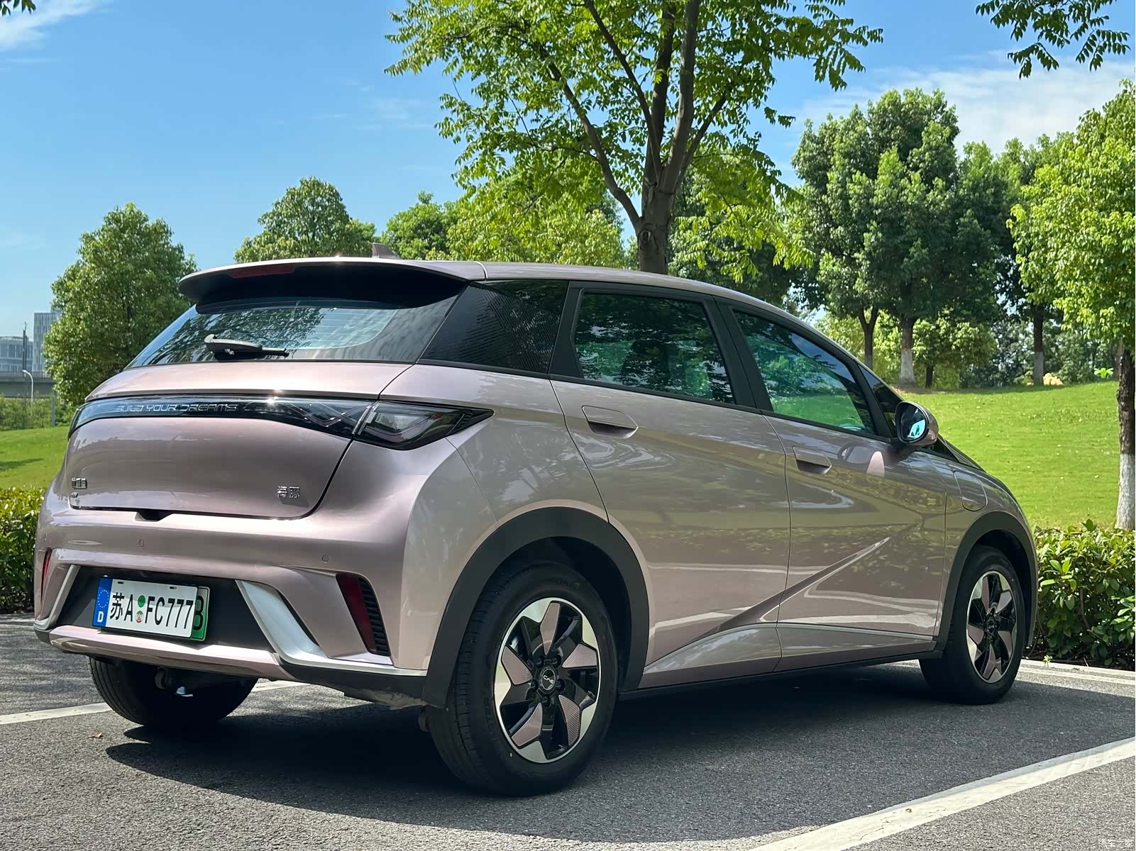 BYD Dolphin, 2025 14