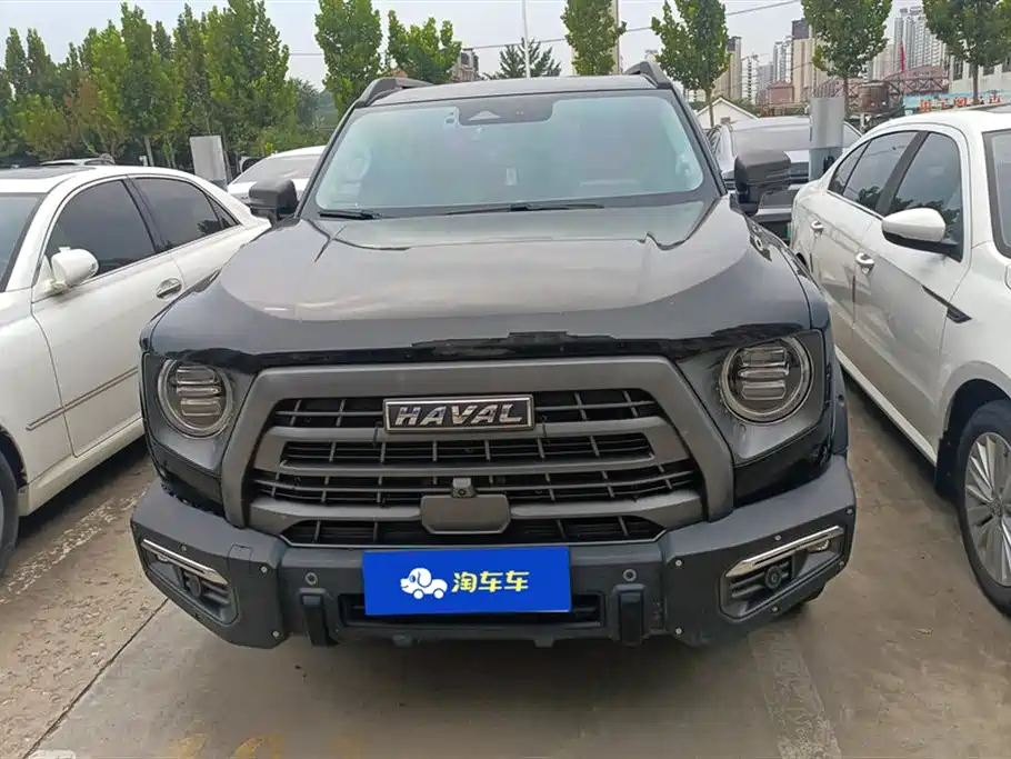 Haval Big dog