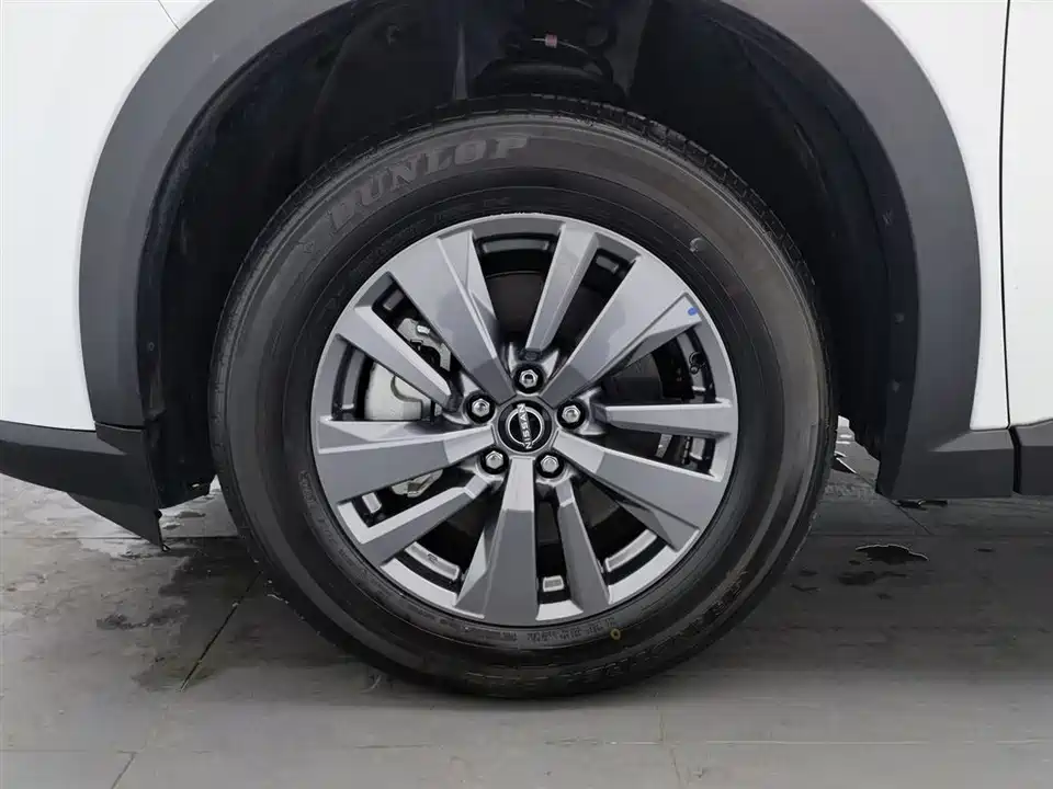 Nissan Exploring the land