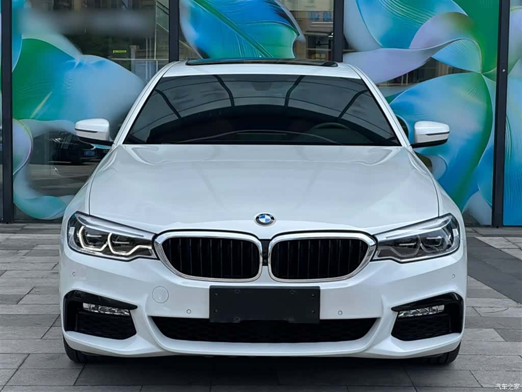 BMW 5 Series, 2018 8