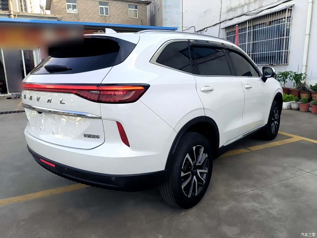 Haval H6, 2023 все фото