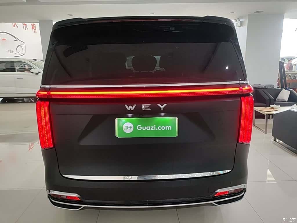 WEY Gaoshan, 2023 6