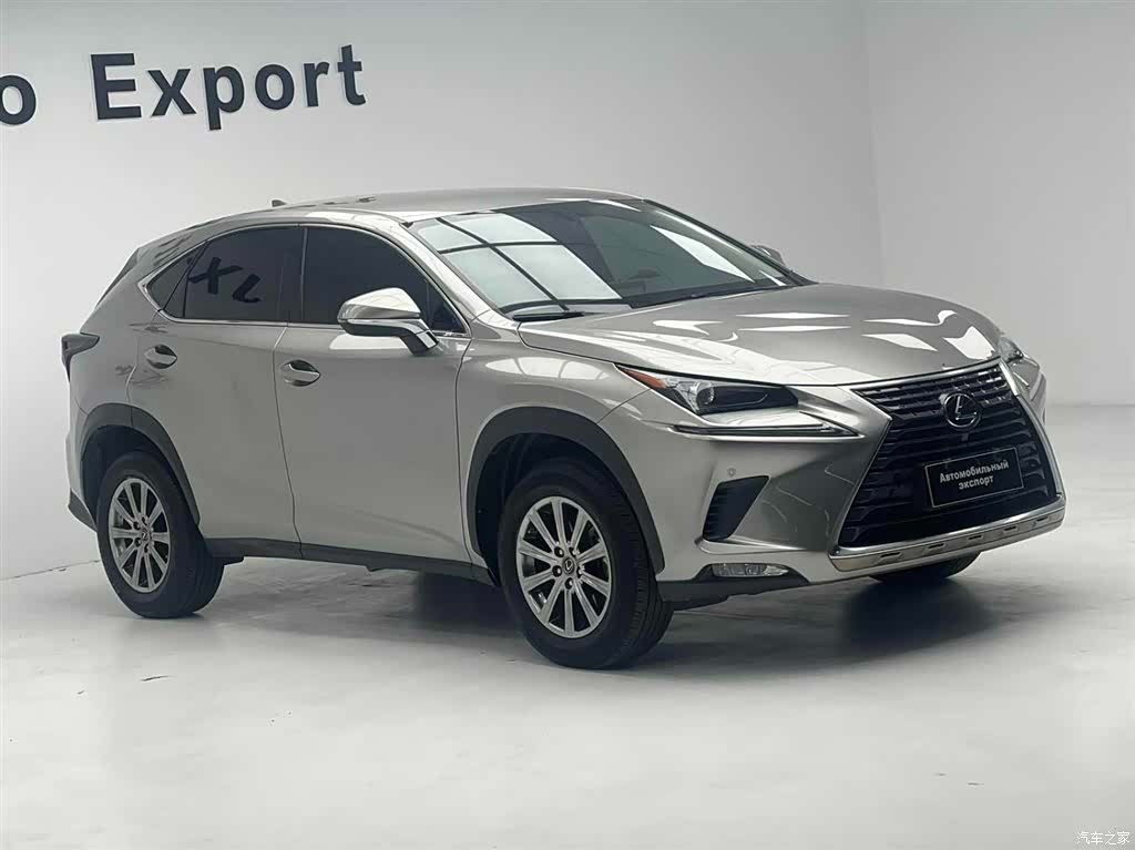 Lexus NX, 2021 7