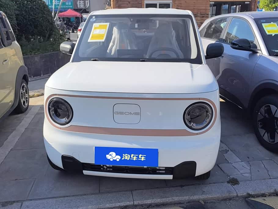 Geely Galaxy panda