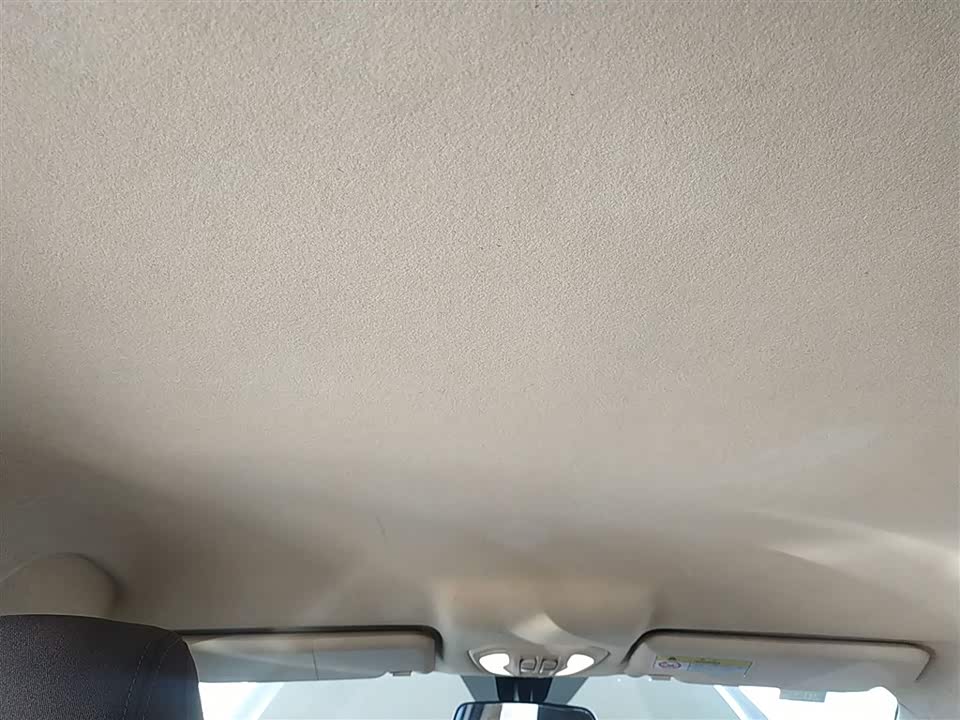 Leopaard Cheetah CS9